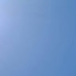 Meet your Posher, Daisy